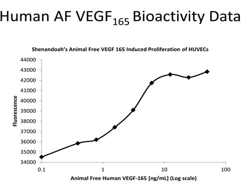 Bioactivity of VEGF-165