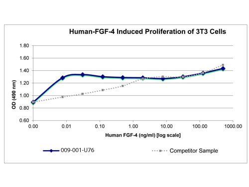 SDS-PAGE of Human Fibroblast Growth Factor-4 Recombinant Protein