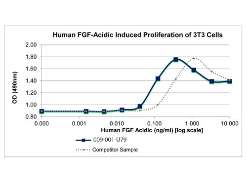 SDS-PAGE of Human Fibroblast Growth Factor acidic Recombinant Protein