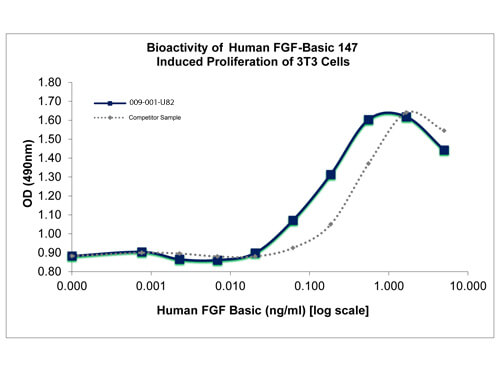 SDS-PAGE of Human Fibroblast Growth Factor 147 basic Recombinant Protein