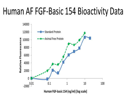 SDS-PAGE of Human Fibroblast Growth Factor 154 basic Recombinant Protein (Animal Free)