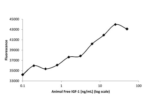 SDS-PAGE of Human Insulin-like Growth Factor I Recombinant Protein (Animal Free)