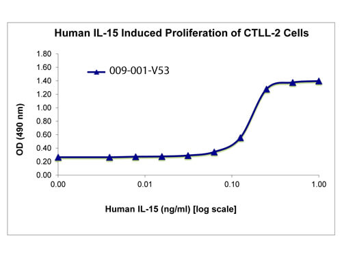 SDS-PAGE of Human Interleukin-15 Recombinant Protein