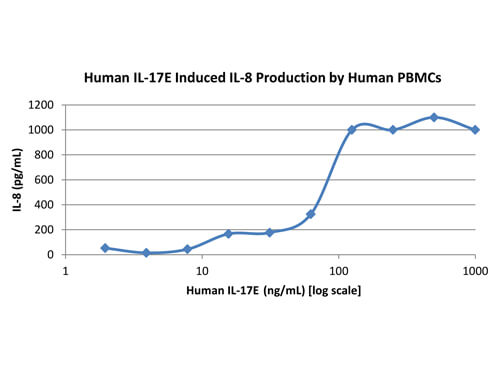 SDS-PAGE of Human Interleukin-17E (IL-25) Recombinant Protein