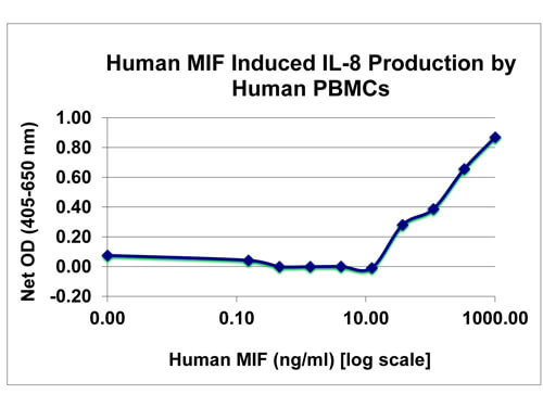 SDS-PAGE of Human MigSDS-PAGE of Ration Inhibitory Factor Recombinant Protein
