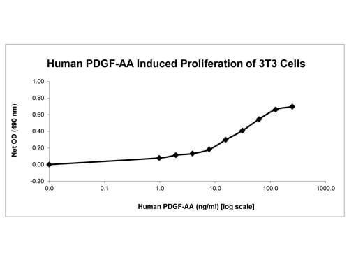 SDS-PAGE of Human Platelet Derived Growth Factor-AA Recombinant Protein