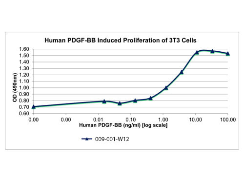 SDS-PAGE of Human Platelet Derived Growth Factor-BB Recombinant Protein