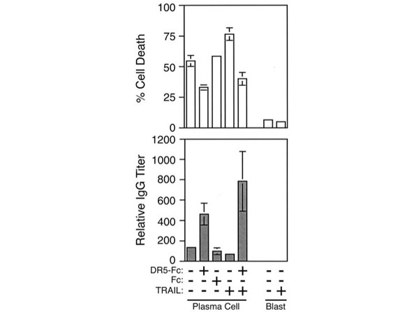 Cell viability using Human IgG Fc