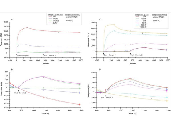 SPR results using Human Fc