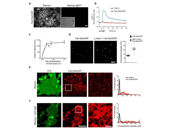 Assay using Human IgM biotin