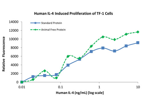 SDS-PAGE of Human Interleukin-4 Recombinant Protein (Animal Free)