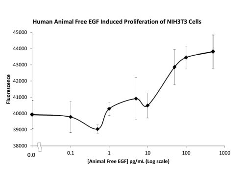 rHuman EGF Protein