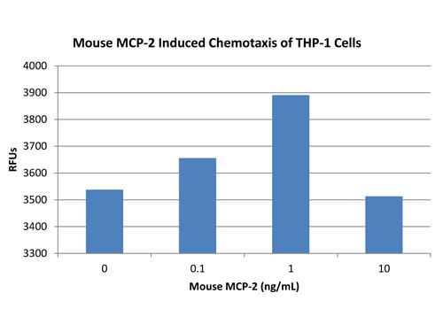 SDS-PAGE of Mouse Monocyte Chemotactic Protein-2 (CCL8) Recombinant Protein