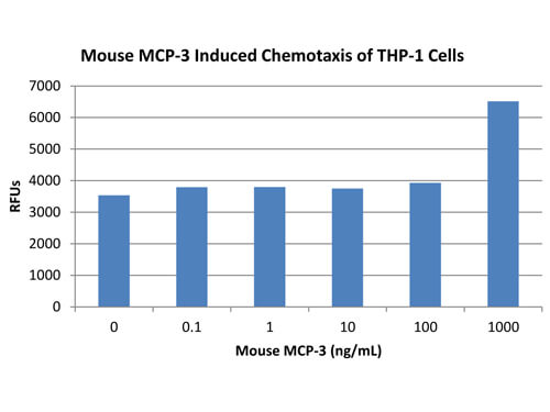 SDS-PAGE of Mouse Monocyte Chemotactic Protein-3 (CCL7) Recombinant Protein