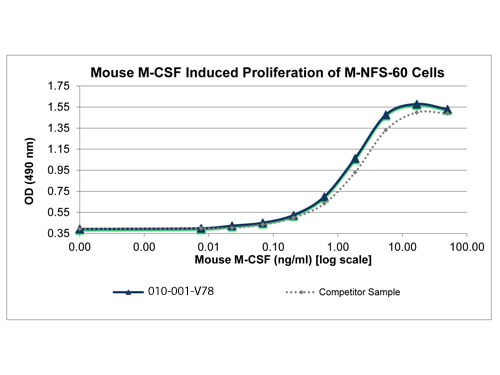 rMouse M-CSF Protein