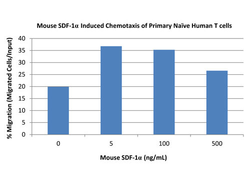 SDS-PAGE of Mouse Stromal Cell-Derived Factor-1 alpha (CXCL12) Recombinant Protein
