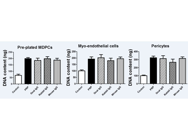 Neutralization assay using Rabbit IgG control