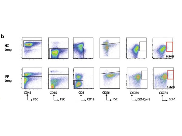 Flow cytometry using Rabbit IgG Biotin Conjugate