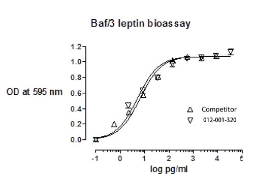 SDS-PAGE of Rat Leptin Recombinant Protein