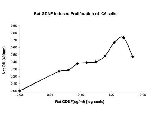 SDS-PAGE of Rat Glial Derived Neurotrophic Factor Recombinant Protein