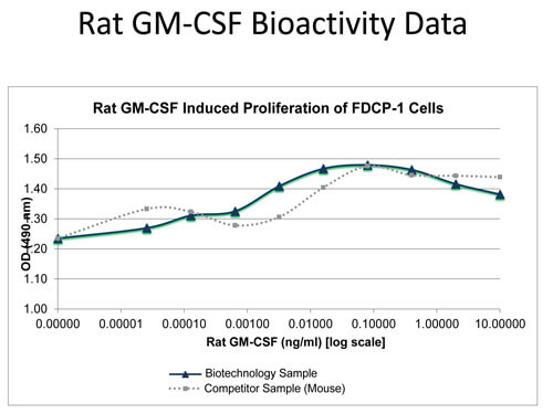 SDS-PAGE of Rat Granulocyte Macrophage-Colony Stimulating Factor Recombinant Protein