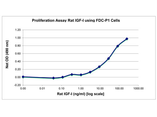 SDS-PAGE of Rat Insulin-like Growth Factor I Recombinant Protein