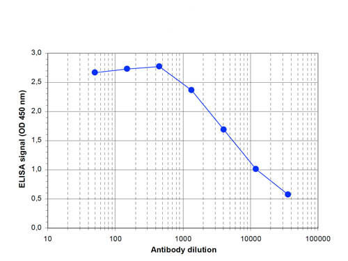 ELISA of anti-Jarid1c antibody