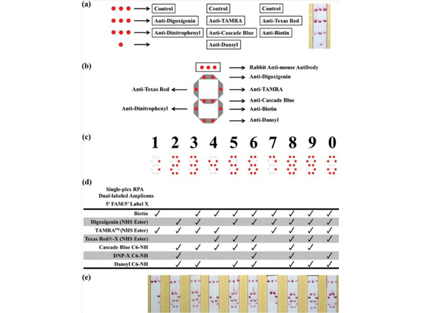 Lateral Flow using Biotin