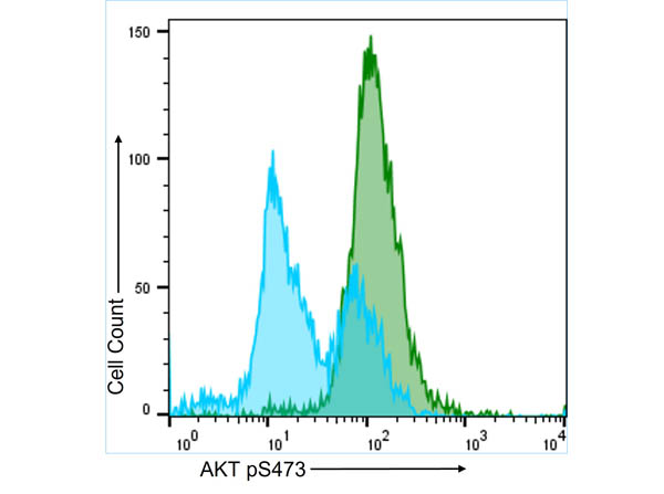 Flow Cytometry of Anti-AKT pS473 (MOUSE) Monoclonal Antibody