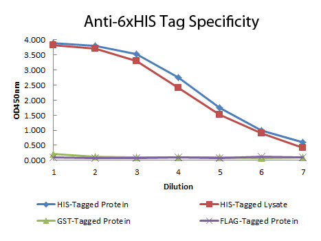 Anti-6x-His Epitope Tag Monoclonal Antibody - ELISA