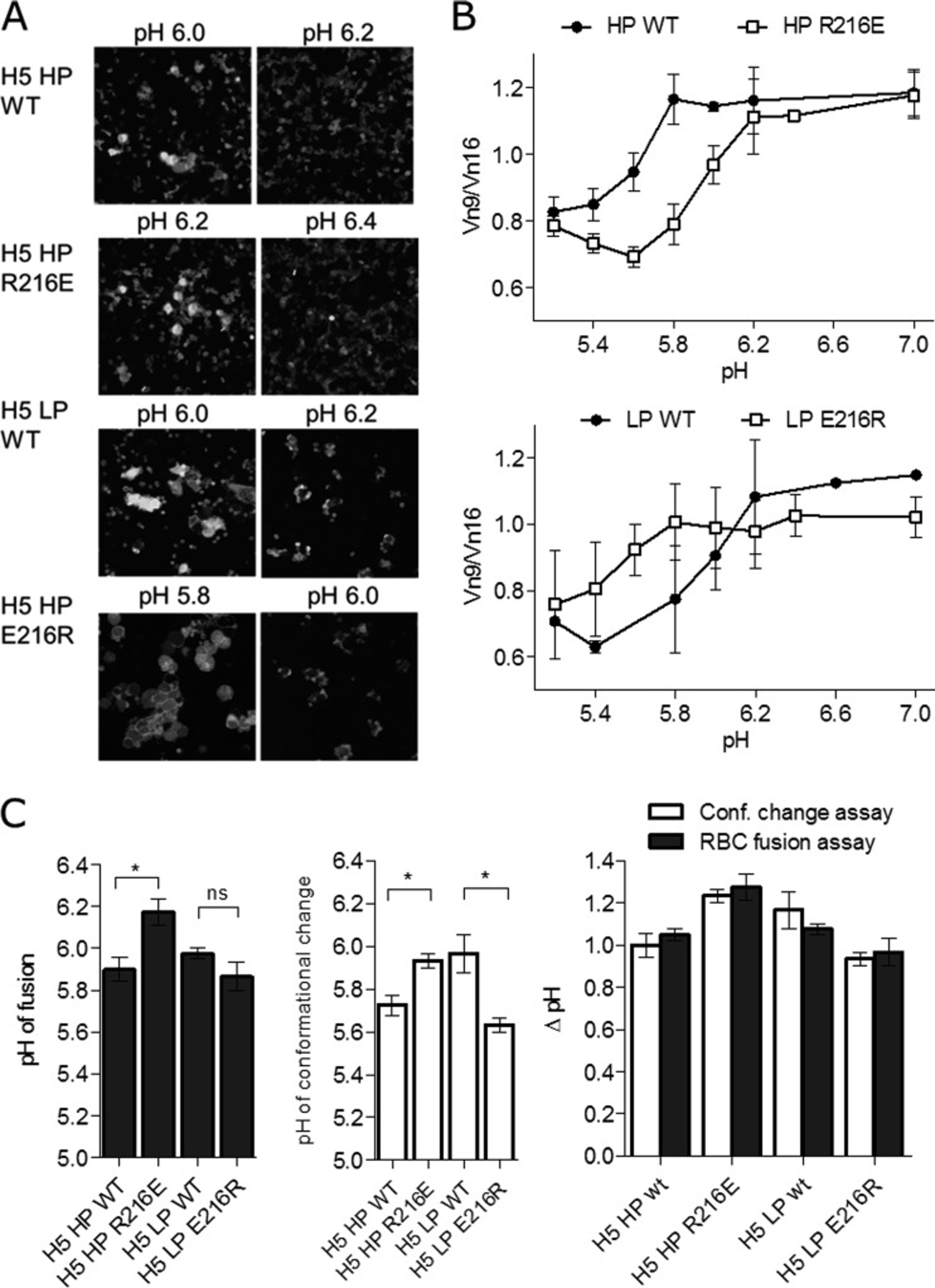 Flow Cytometry using H5N1