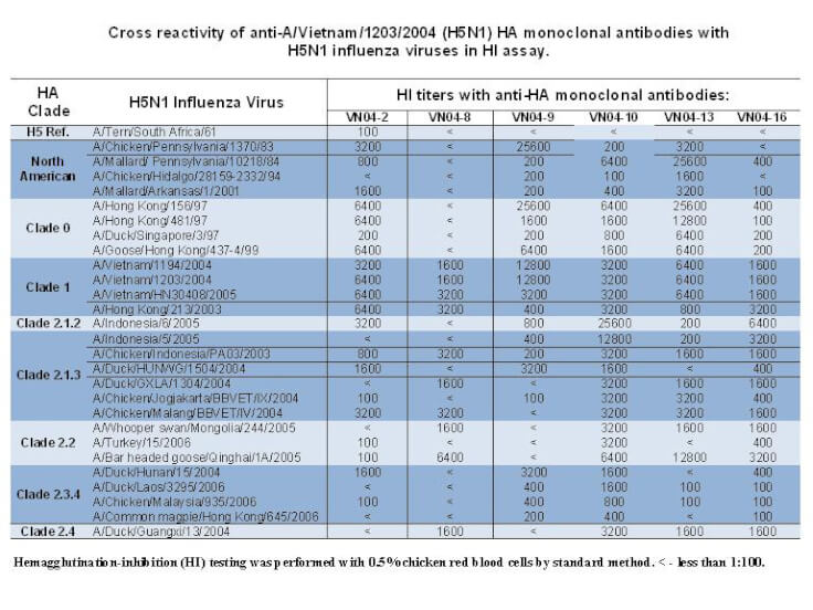 Rockland anti H5N1 antibody-Virus Neutralization
