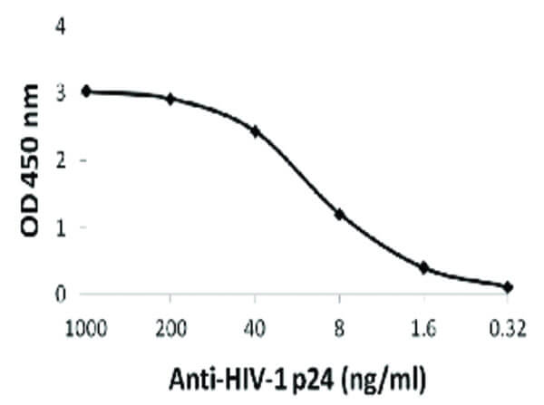 ELISA of HIV-1 p24 Antibody