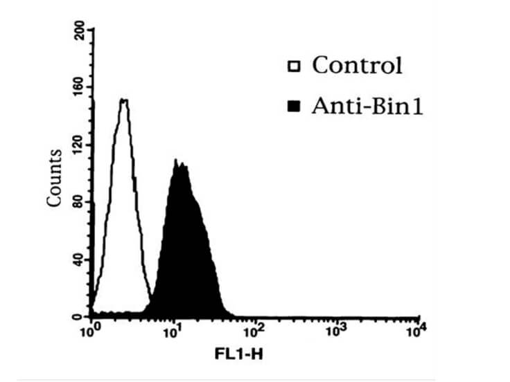 Flow Cytometry - BIN1 Antobody