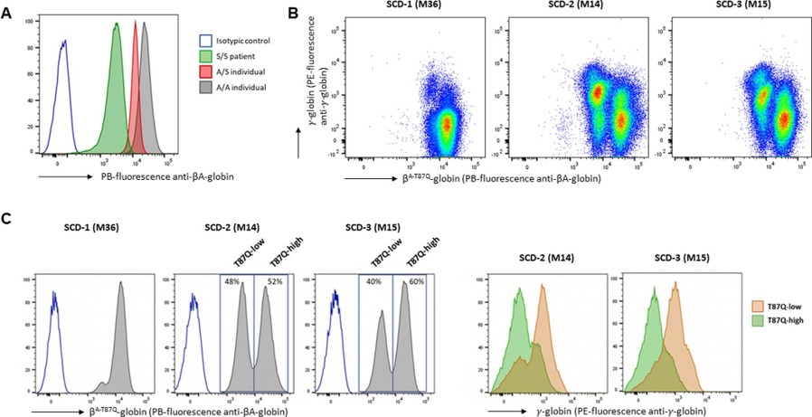 Flow Cytometry using HbA
