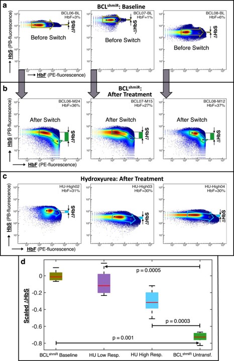 Flow Cytometry using HbS