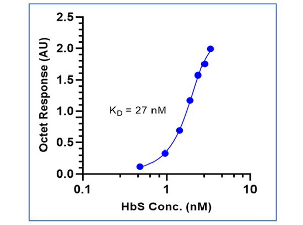 Binding mode and kinetic analysis of Mouse Anti-HbS Antibody.