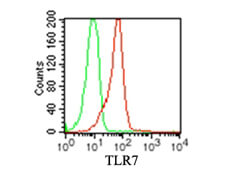 TLR7 Flow Cytometry