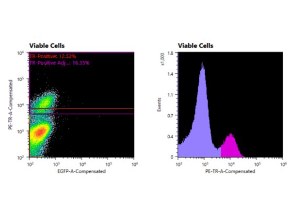 Flow Cytometry of hFcRn (ADM31) Antibody