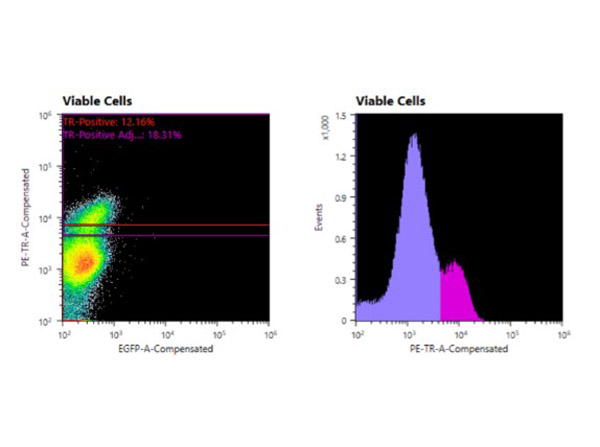 Flow Cytometry of hFcRn (DVN24) Antibody