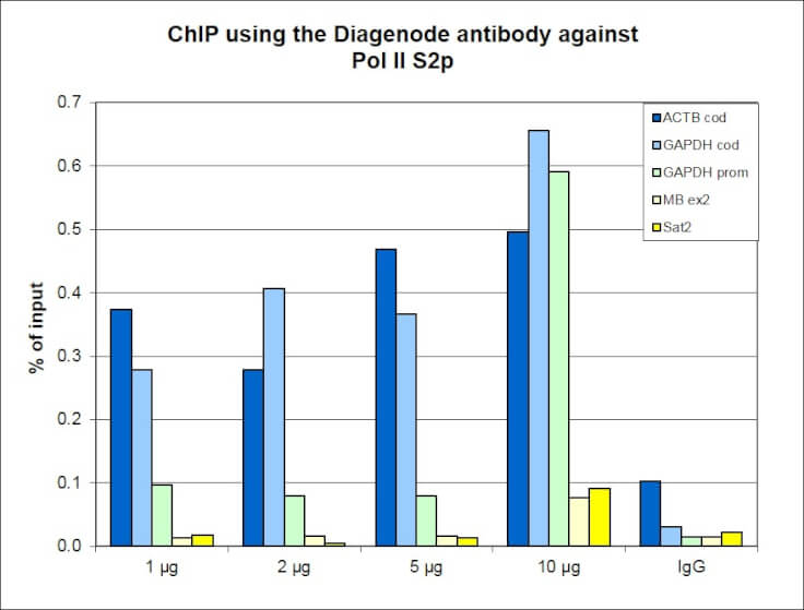 Chromatin Immunoprecipitation for Anti-Pol II S2p Antibody