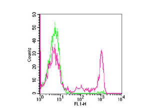 Flow Cytometry - Mouse anti-HUMAN CD8 FITC