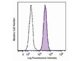CD11b Fluorescein Antibody