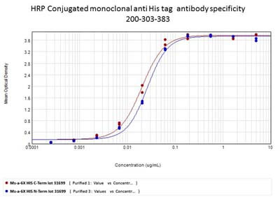 6X His Tag Antibody HRP Conjugated
