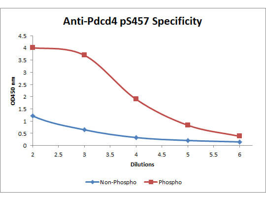 Pdcd4 phospho S457 Biotin Conjugated Antibody - ELISA