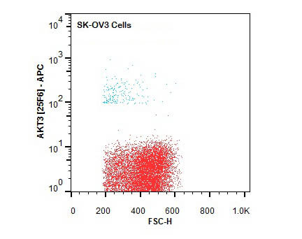 Flow Cytometry of Mouse anti-AKT3 APC