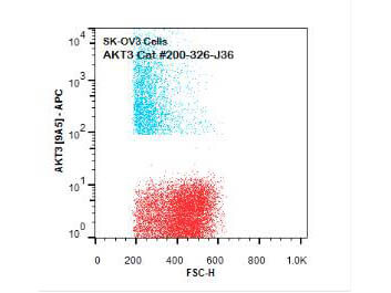 Flow Cytometry of Mouse anti-AKT3 antibody