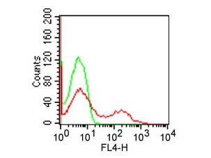 Flow Cytometry - Mouse anti-HUMAN CD8 APC