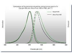 Properties of DyLight™ Fluorescent Dyes - Graph