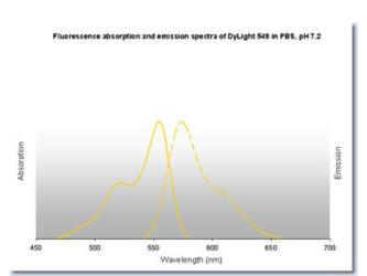 Fluorescence absorption and emission spectra of DyLight 549